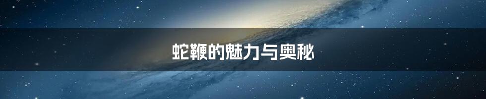 蛇鞭的魅力与奥秘