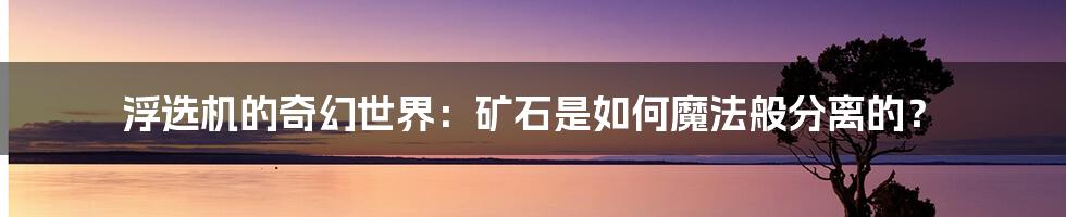 浮选机的奇幻世界:矿石是如何魔法般分离的?