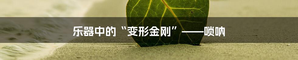 乐器中的“变形金刚”——唢呐