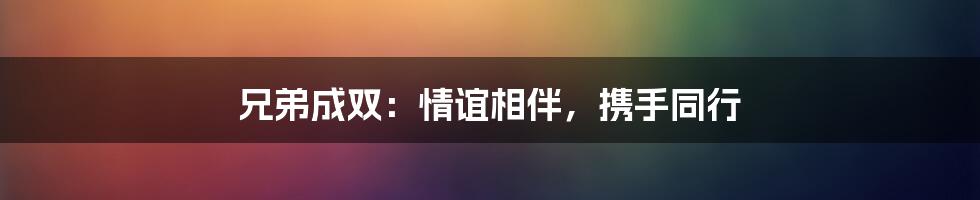 兄弟成双:情谊相伴,携手同行