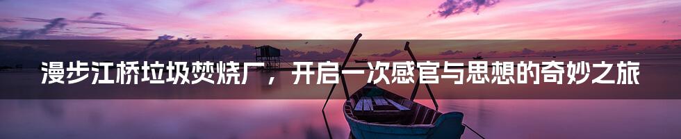 漫步江桥垃圾焚烧厂，开启一次感官与思想的奇妙之旅