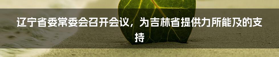 辽宁省委常委会召开会议,为吉林省提供力所能及的支持