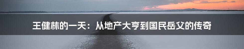 王健林的一天:从地产大亨到国民岳父的传奇