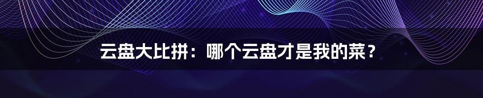 云盘大比拼:哪个云盘才是我的菜?