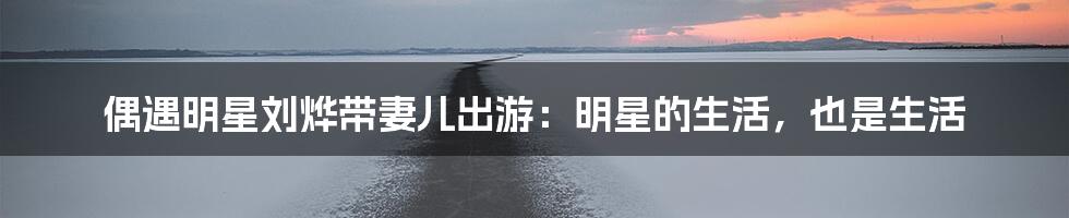 偶遇明星刘烨带妻儿出游：明星的生活，也是生活