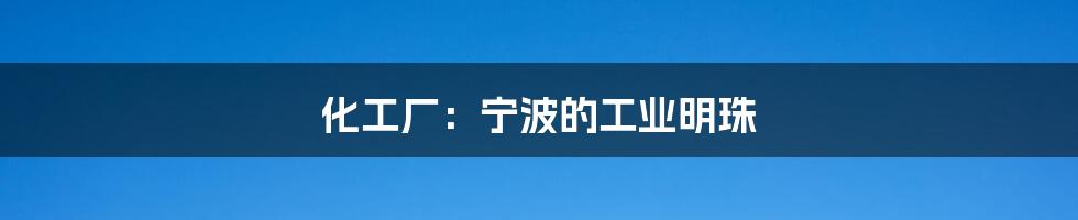 化工厂:宁波的工业明珠