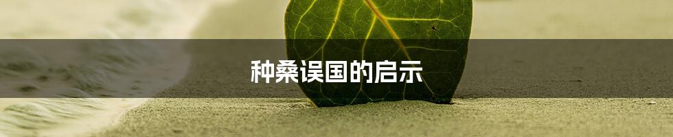 种桑误国的启示