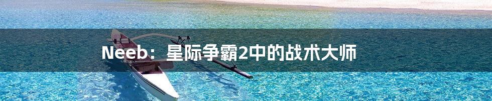 Neeb:星际争霸2中的战术大师