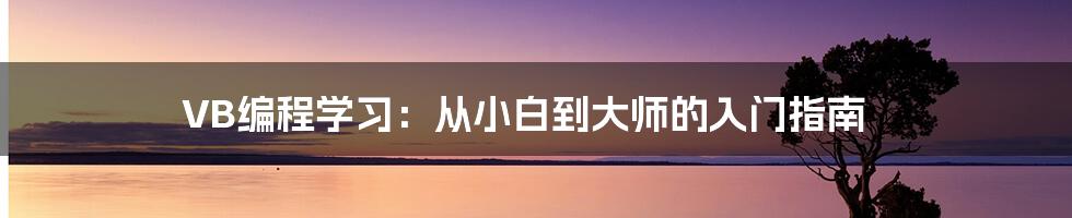 VB编程学习：从小白到大师的入门指南