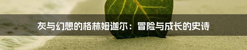 灰与幻想的格林姆迦尔:冒险与成长的史诗