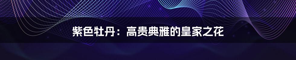 紫色牡丹:高贵典雅的皇家之花