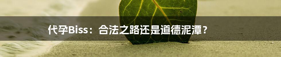 代孕Biss:合法之路还是道德泥潭?
