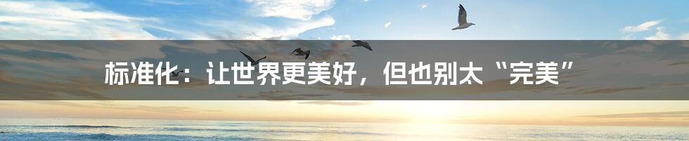 标准化：让世界更美好，但也别太“完美”