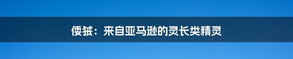 倭狨：来自亚马逊的灵长类精灵