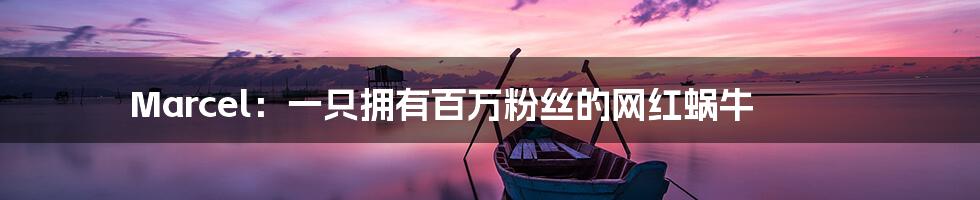 Marcel:一只拥有百万粉丝的网红蜗牛