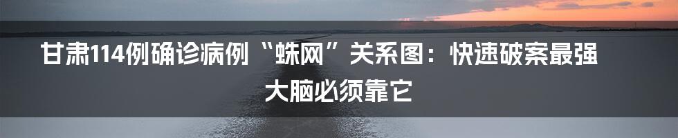 甘肃114例确诊病例“蛛网”关系图:快速破案最强大脑必须靠它