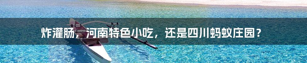 炸灌肠,河南特色小吃,还是四川蚂蚁庄园?