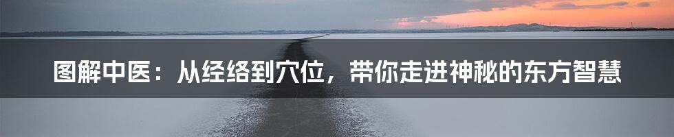 图解中医:从经络到穴位,带你走进神秘的东方智慧