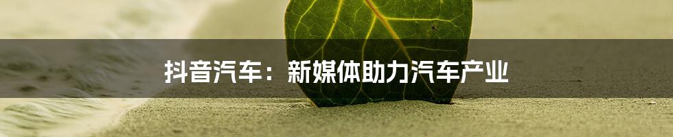 抖音汽车：新媒体助力汽车产业