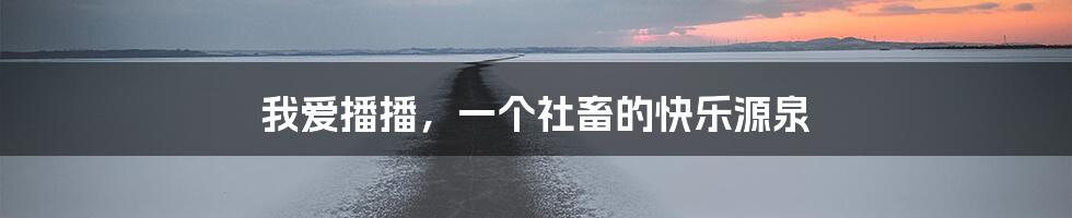 我爱播播,一个社畜的快乐源泉