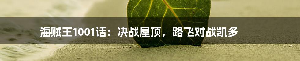 海贼王1001话：决战屋顶，路飞对战凯多