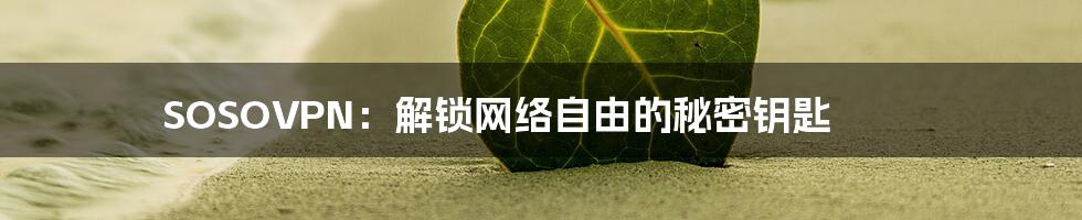 SOSOVPN:解锁网络自由的秘密钥匙
