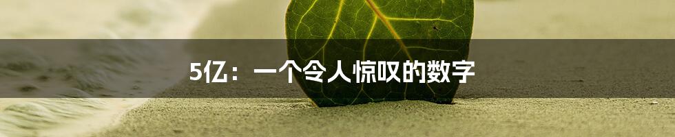5亿:一个令人惊叹的数字