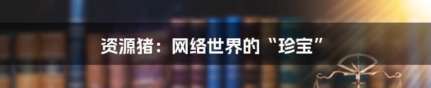 资源猪:网络世界的“珍宝”