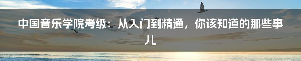 中国音乐学院考级:从入门到精通,你该知道的那些事儿