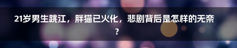 21岁男生跳江,胖猫已火化,悲剧背后是怎样的无奈?