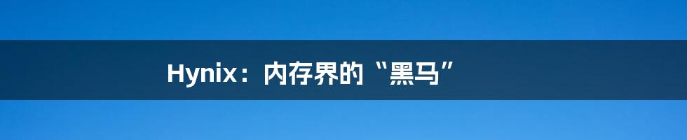 Hynix：内存界的“黑马”