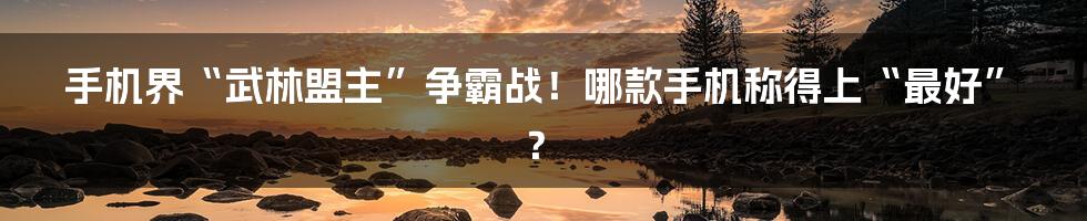 手机界“武林盟主”争霸战!哪款手机称得上“最好”?
