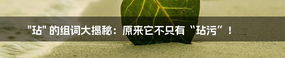 "玷" 的组词大揭秘:原来它不只有“玷污”!