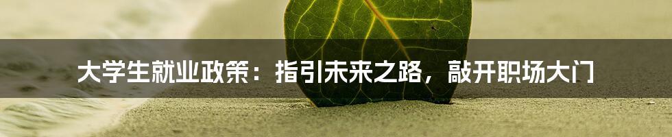 大学生就业政策:指引未来之路,敲开职场大门