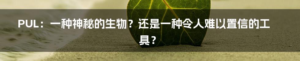 PUL:一种神秘的生物?还是一种令人难以置信的工具?