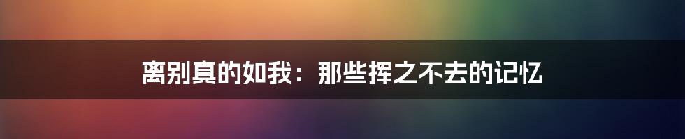 离别真的如我:那些挥之不去的记忆