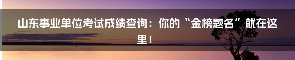 山东事业单位考试成绩查询:你的“金榜题名”就在这里!