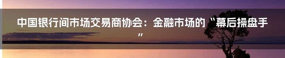 中国银行间市场交易商协会:金融市场的“幕后操盘手”