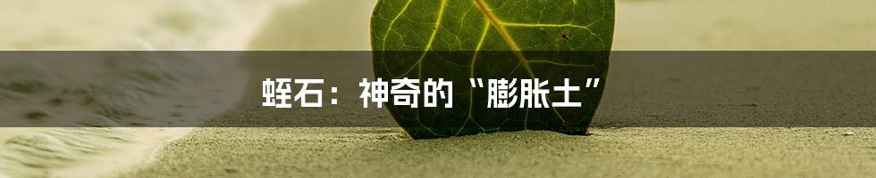 蛭石:神奇的“膨胀土”