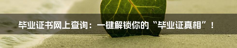 毕业证书网上查询：一键解锁你的“毕业证真相”！