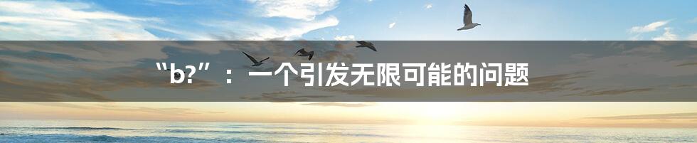 “b?”:一个引发无限可能的问题