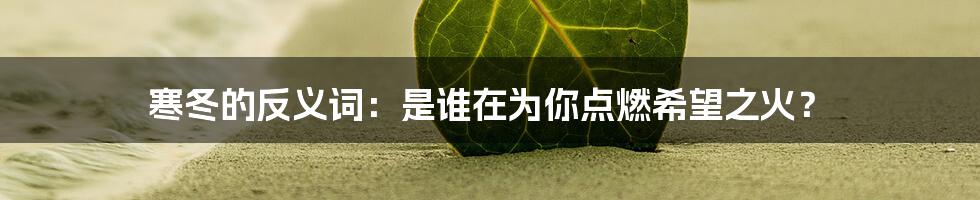 寒冬的反义词：是谁在为你点燃希望之火？