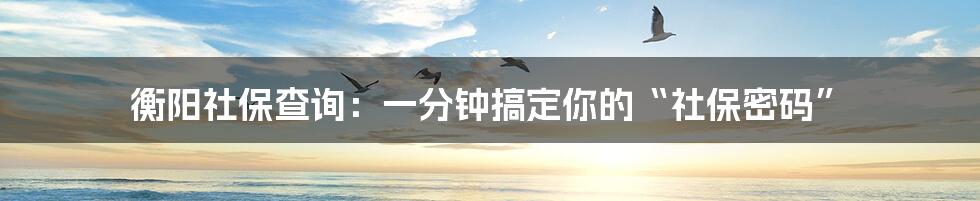 衡阳社保查询:一分钟搞定你的“社保密码”