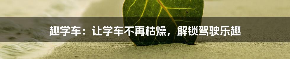 趣学车:让学车不再枯燥,解锁驾驶乐趣