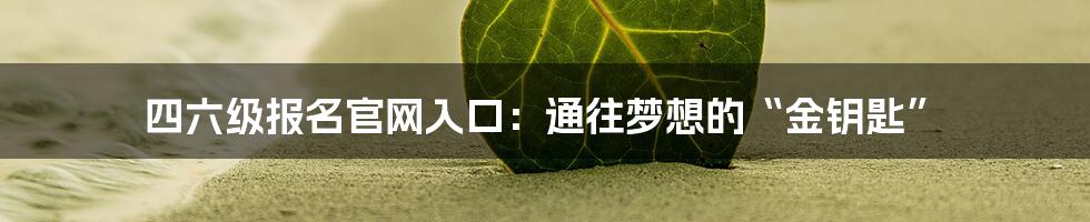 四六级报名官网入口:通往梦想的“金钥匙”