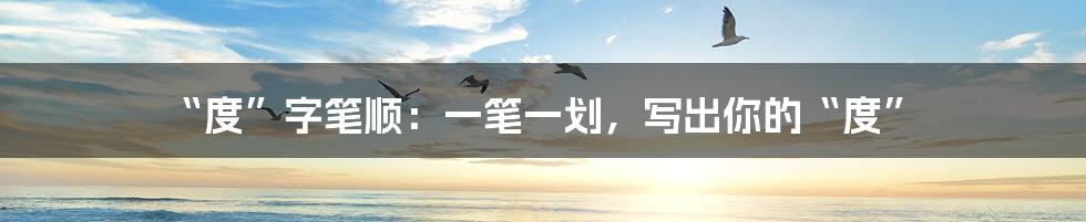 “度”字笔顺:一笔一划,写出你的“度”