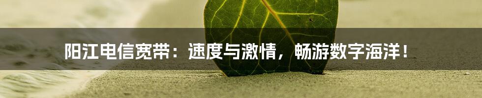 阳江电信宽带:速度与激情,畅游数字海洋!