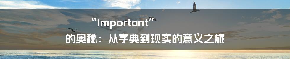 “Important” 的奥秘:从字典到现实的意义之旅