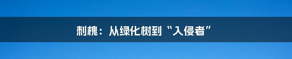 刺槐:从绿化树到“入侵者”