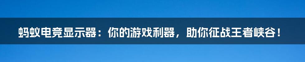 蚂蚁电竞显示器:你的游戏利器,助你征战王者峡谷!